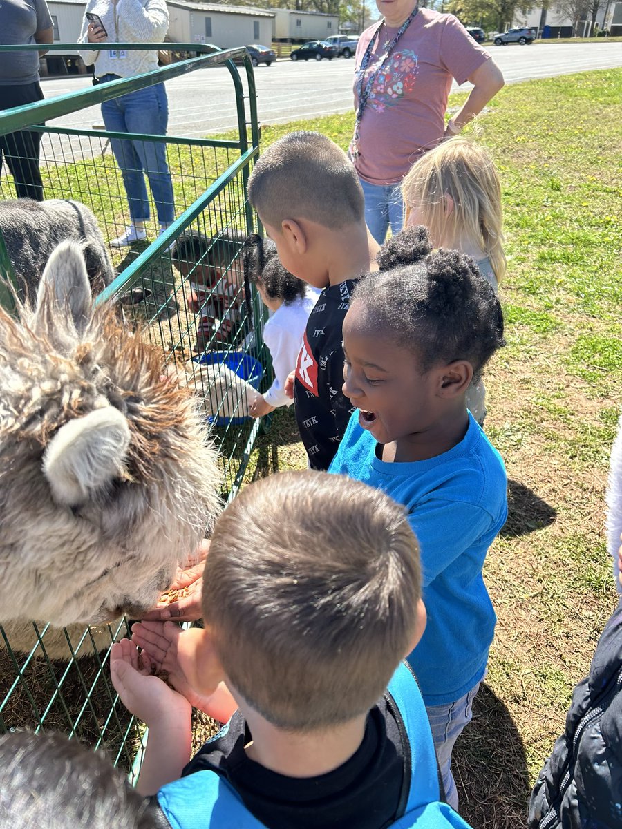 SterlingTigers (@sterlingelemen1) on Twitter photo The perfect way to end Quarter 3 AND welcome the beginning of Spring Break…having a Petting Zoo of course! 🐐 🦙 🐑 <a href="/CharMeckSchools/">Charlotte-Mecklenburg Schools</a> #sterlingpride🐯 #chinupcrownon👑 #HelloSpringBreak #pettingzoo The perfect way to end Quarter 3 AND welcome the beginning of Spring Break…having a Petting Zoo of course! 🐐 🦙 🐑 <a href="/CharMeckSchools/">Charlotte-Mecklenburg Schools</a> #sterlingpride🐯 #chinupcrownon👑 #HelloSpringBreak #pettingzoo