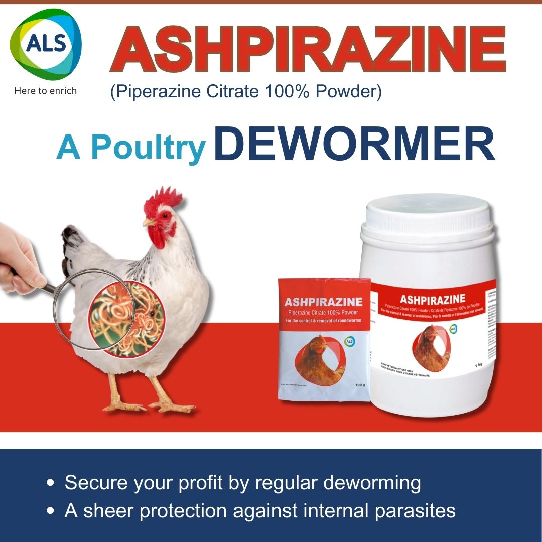ASHPIRAZINE - A Poultry DEWORMER. #ashpirazine #poultry #dewormer #AnimalCare #ashishlifescience #Animalpharma #poultryfarming #animalhealth #livestockfarming #nutrition #ProfitableFarming #follow #knowledgesharing #sharepost