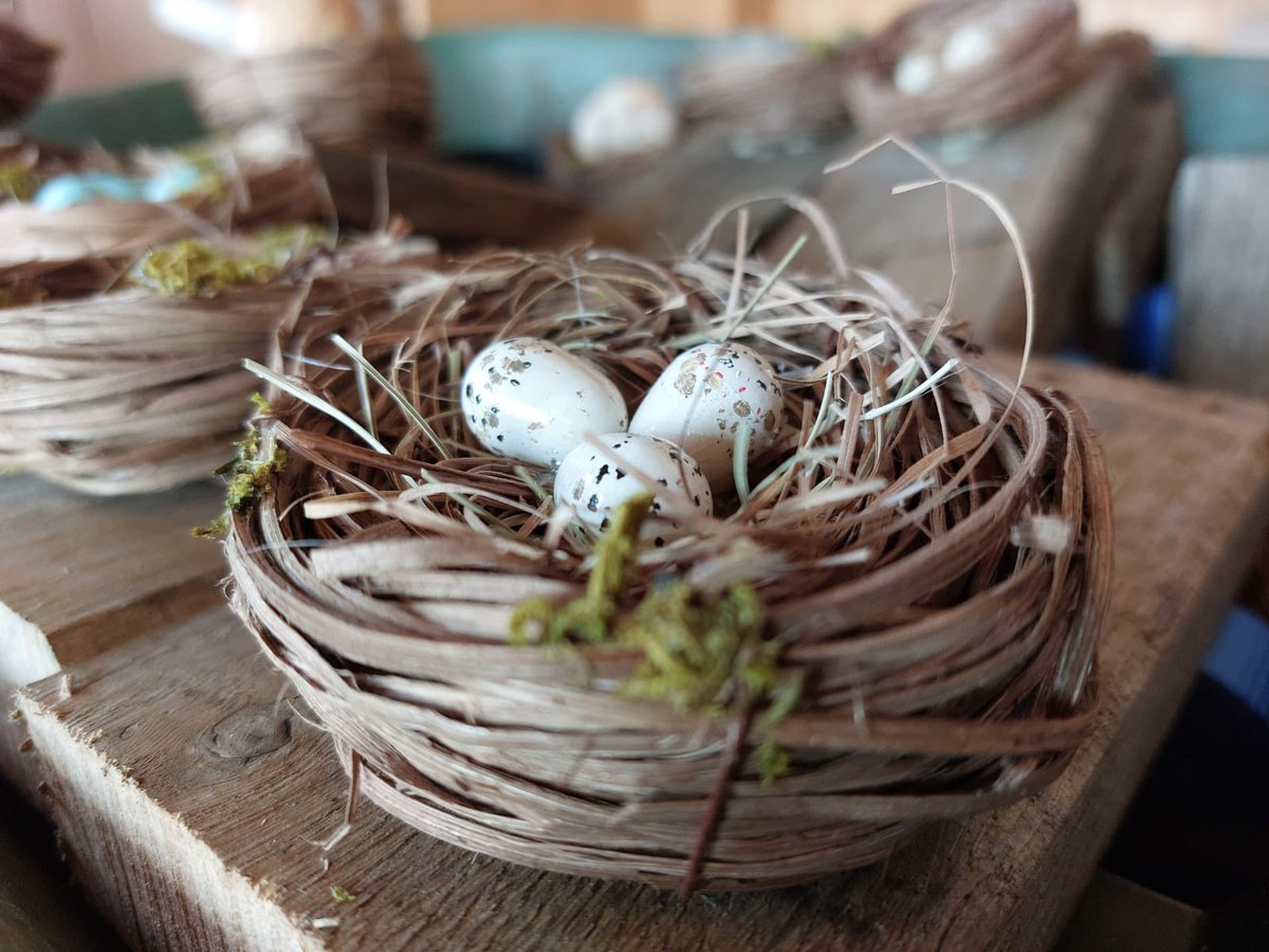 Op beide paasdagen hebben we een nieuwe speurtocht voor gezinnen klaargezet! Weet jij welke vogel deze eieren heeft gelegd? Speur je mee? natuurmonumenten.nl/agenda?page=1&… #pasen #eierenzoeken #speurtocht #gezinsuitje