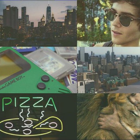 【 Garfield Logan, aka Beast Boy 】

  【 Beast shiftin', man lovin', you're favorite Titan 】