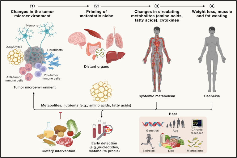 Embracing Cancer Complexity: Hallmarks of Systemic Disease, now out in Cell! authors.elsevier.com/c/1iqgjL7PXqPxO @LocasaleLab @AyeletErez @LabVousden Tumor microenvironment, cancer metabolism, diet, microbiome, and cachexia: