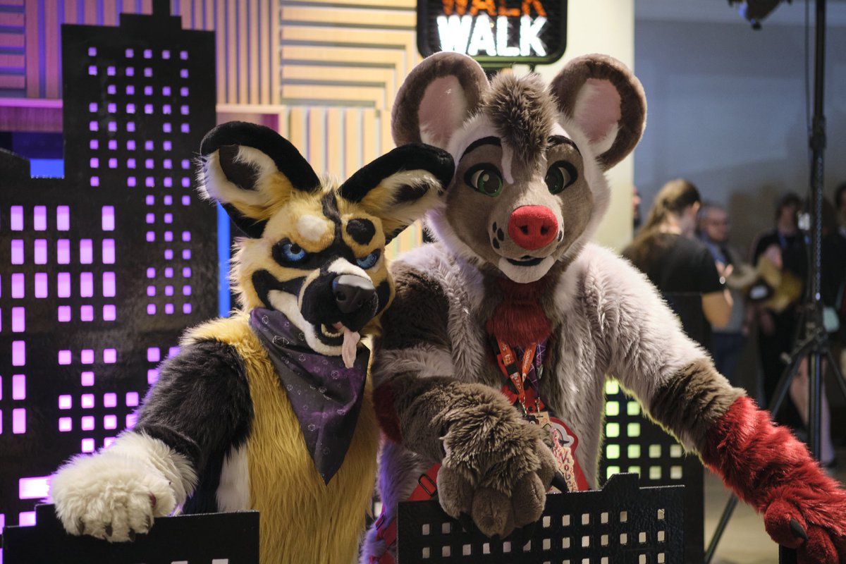 Two wild dogs caught in the city 🐕 @WolfoolArt 🪡 @GoFurItstudios & @MadeFurYou #fursuitfriday #fursuit 📸 @DarkModeTiger