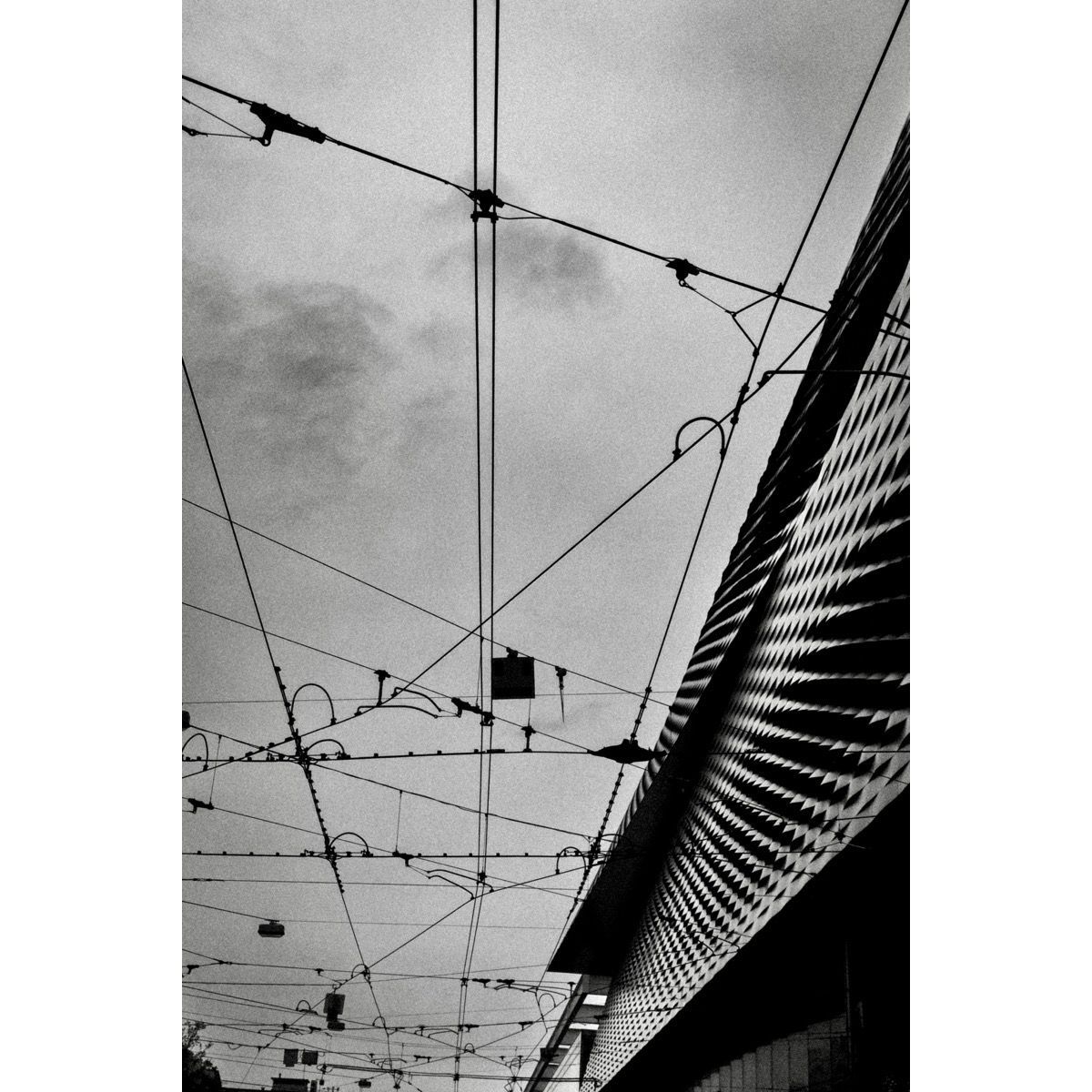 📷
ENTRELACS / INTERLACING
•
#paysageurbain #cityscape #photographe #photographer #photographie #photography #noiretblanc #blackandwhite #nb #bnw #photographyisart #poetryisnotdead #photoartistry #storytelling #art #cables #wires