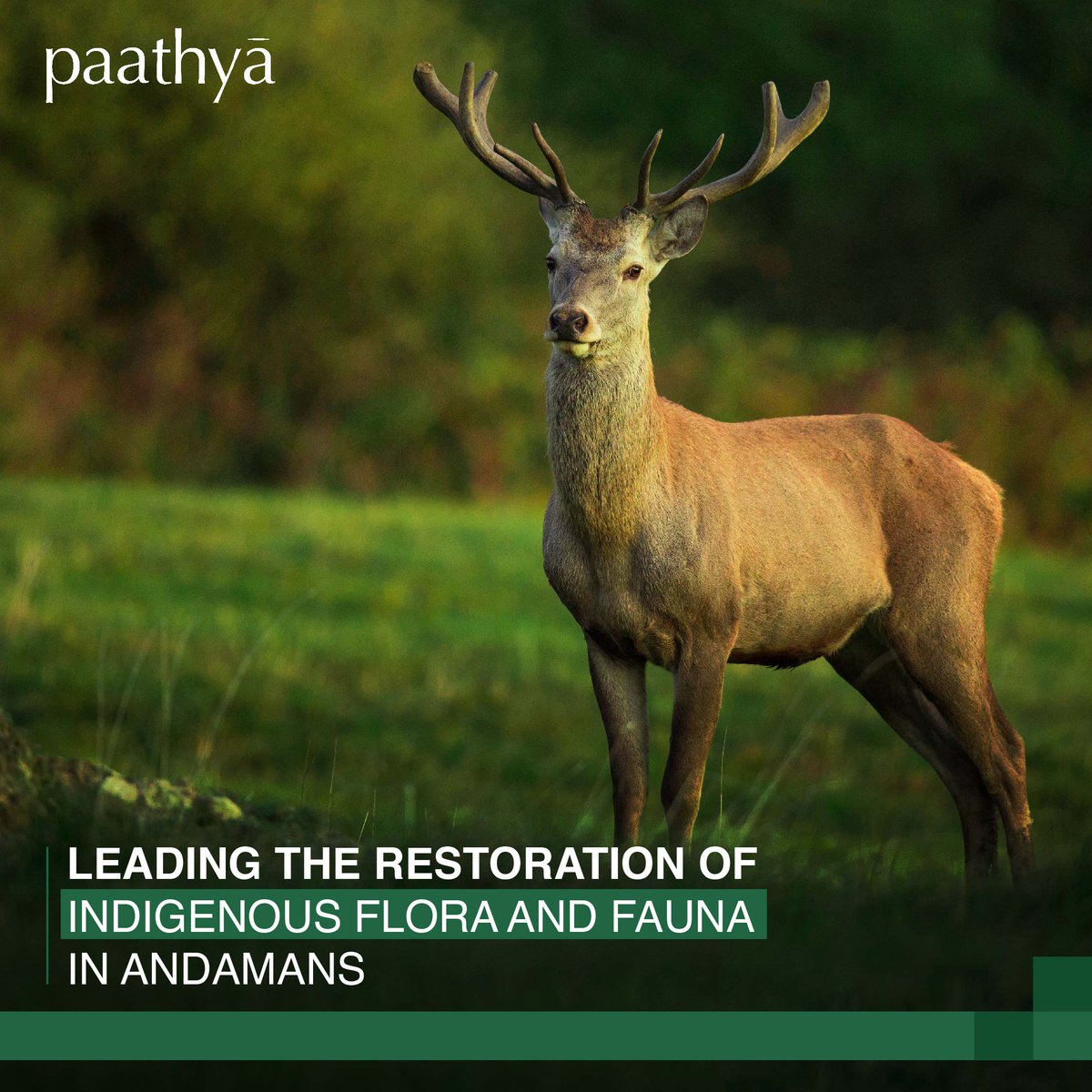 Our recent post celebrating the Indian Hotel Company's biodiversity conservation efforts, under their Paathya Framework.
#IHCL #Paathya #Sustainability