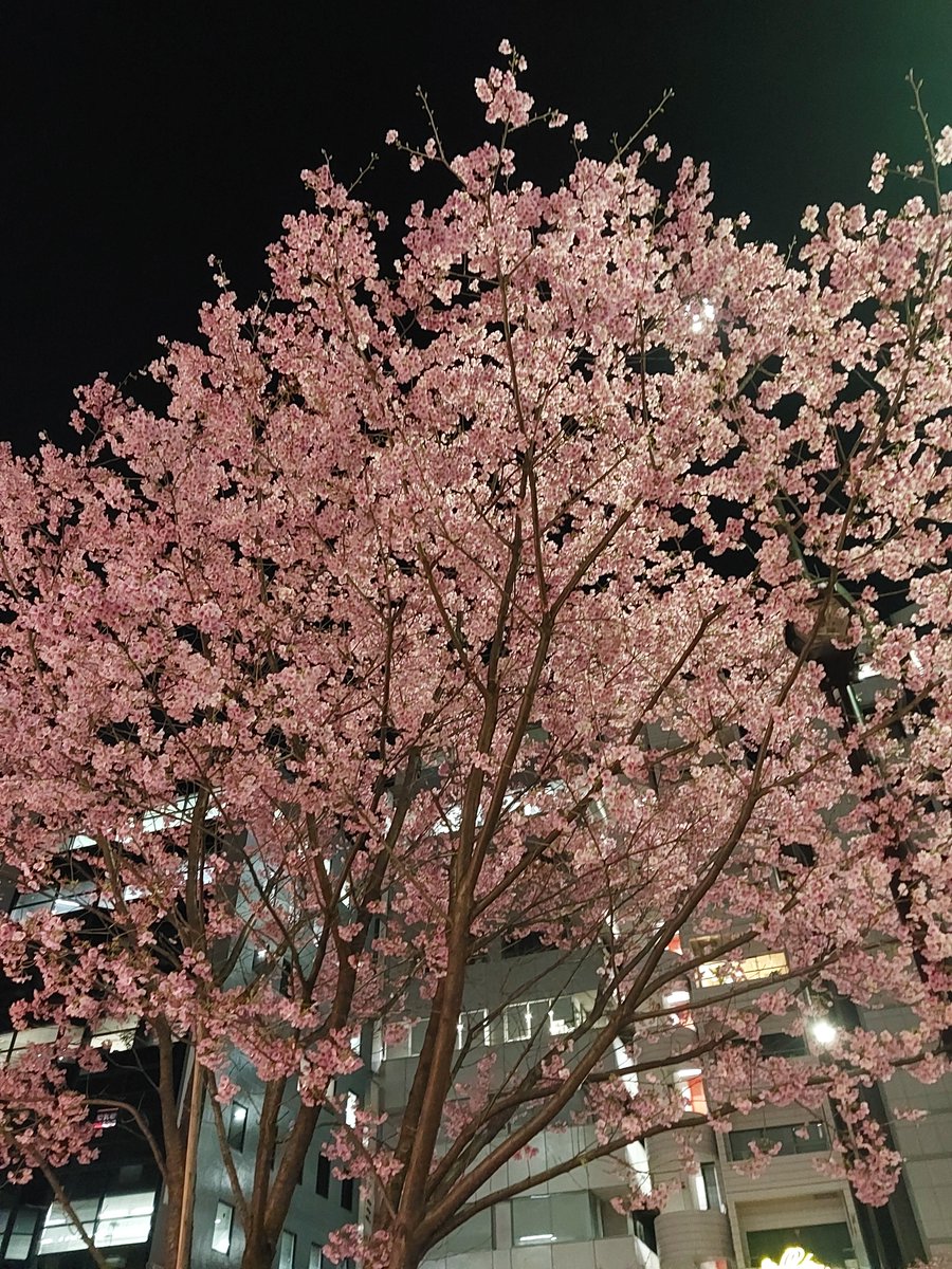 Yuna1941369's tweet photo. #RACKMAN 第2回 トリはいっぱい笑えて、しっかり怖い死神でした。
「あじゃらかもくれん」の後ろの呪文がまさかの(笑)
ダイエット“休止中”のらく萬さんらしくて爆笑でした。
まくらで、サゲの匂わせしてくれるのも親切だった~
新作も見たいけど、大ネタの方がもっと見たいです!
#立川らく萬 https://t.co/8l5bRzWaNU