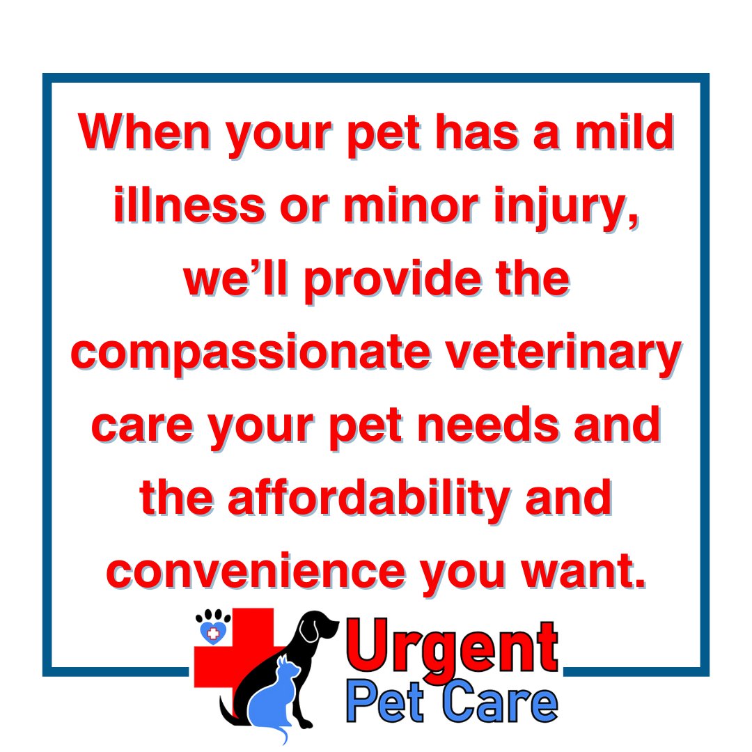 When your pet has a mild illness or minor injury, we'll provide the
compassionate veterinary care your pet needs and the affordability and convenience you want.🐈

Click the 🔗 in our bio for more information!

#urgentpetcare #emergency #vetlife #animals #cats #dogs #animalcare