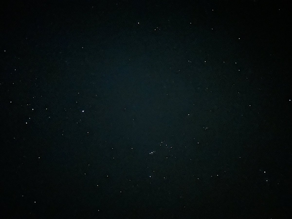 reginaries's tweet photo. stargazing at the beach just hits differently https://t.co/iIqcH80LXf