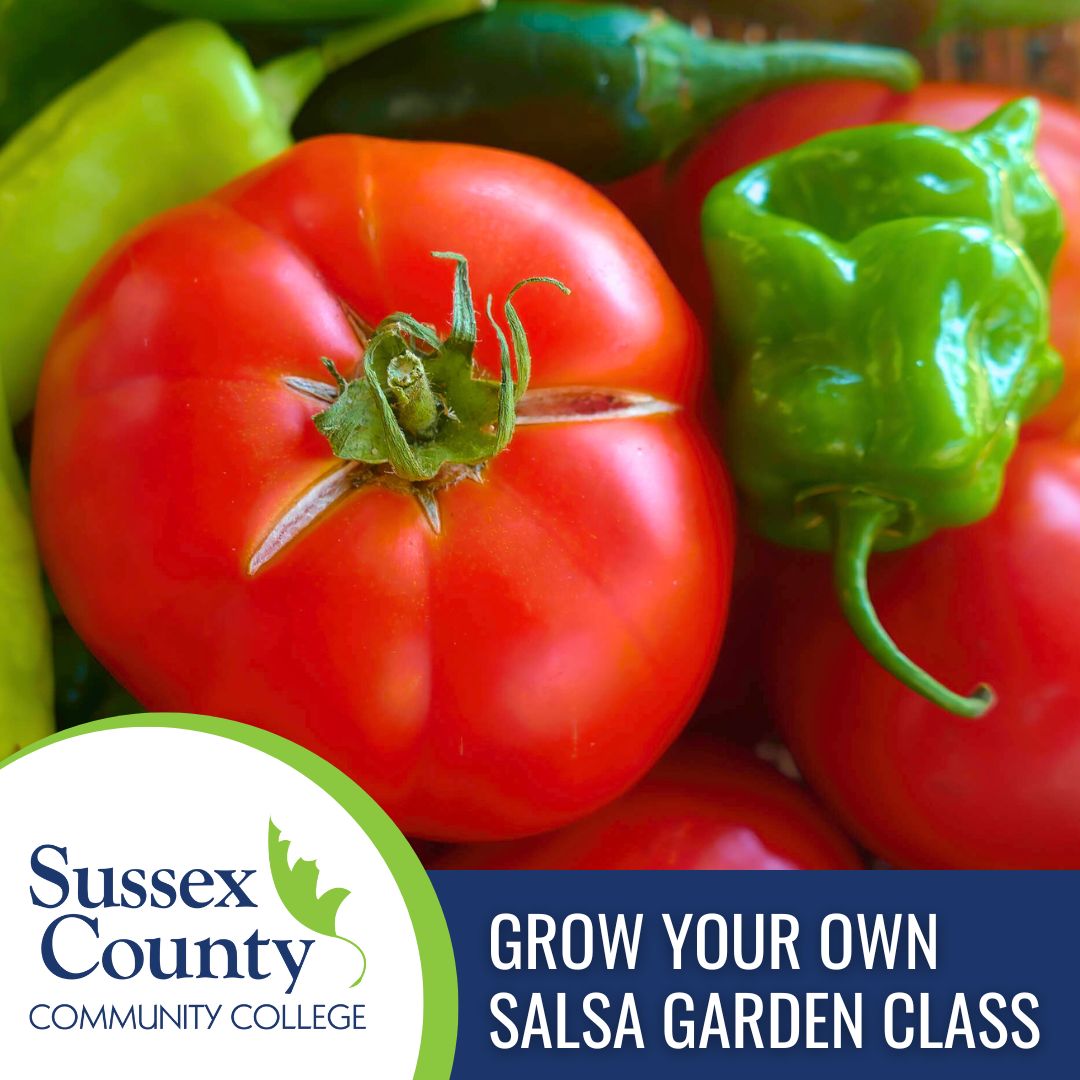 Learn how to seed your own salsa garden this Saturday, March 30 at 9 am in SCCC's Greenhouse. After class, you will leave campus with your own tray of newly planted vegetable seeds for your salsa garden! Sign up and learn more at sussex.edu/ce