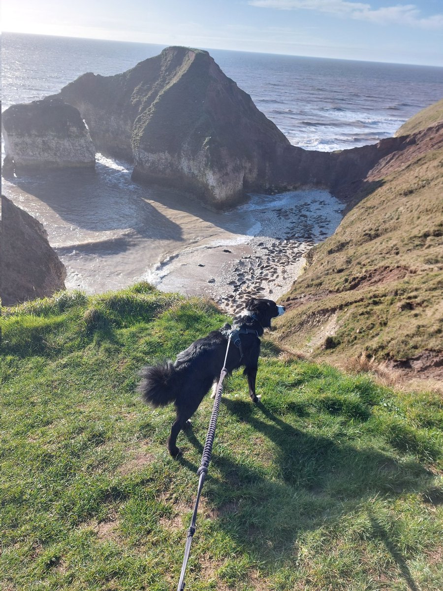 Kate Couzens tweet media