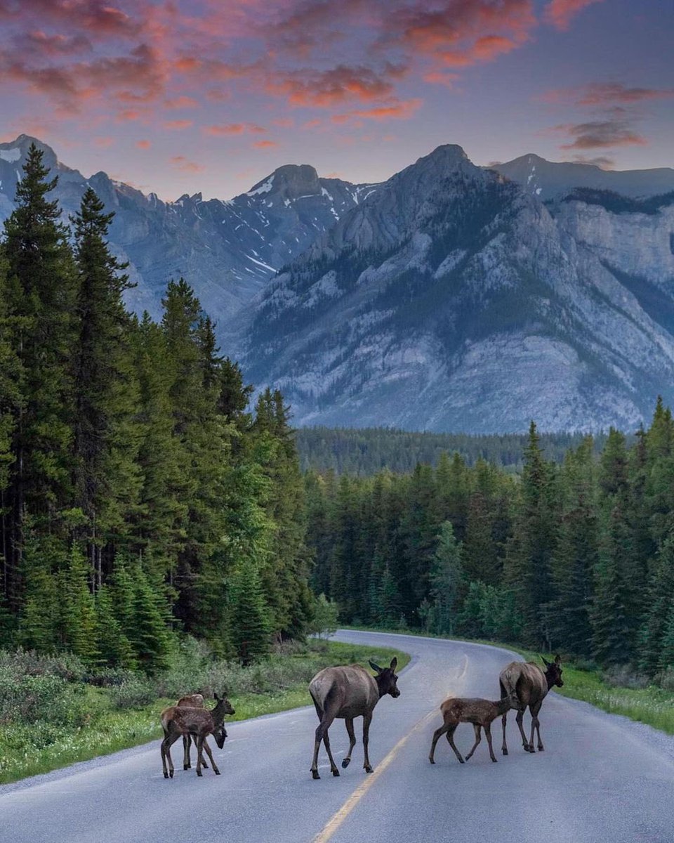 Grand Teton National Park