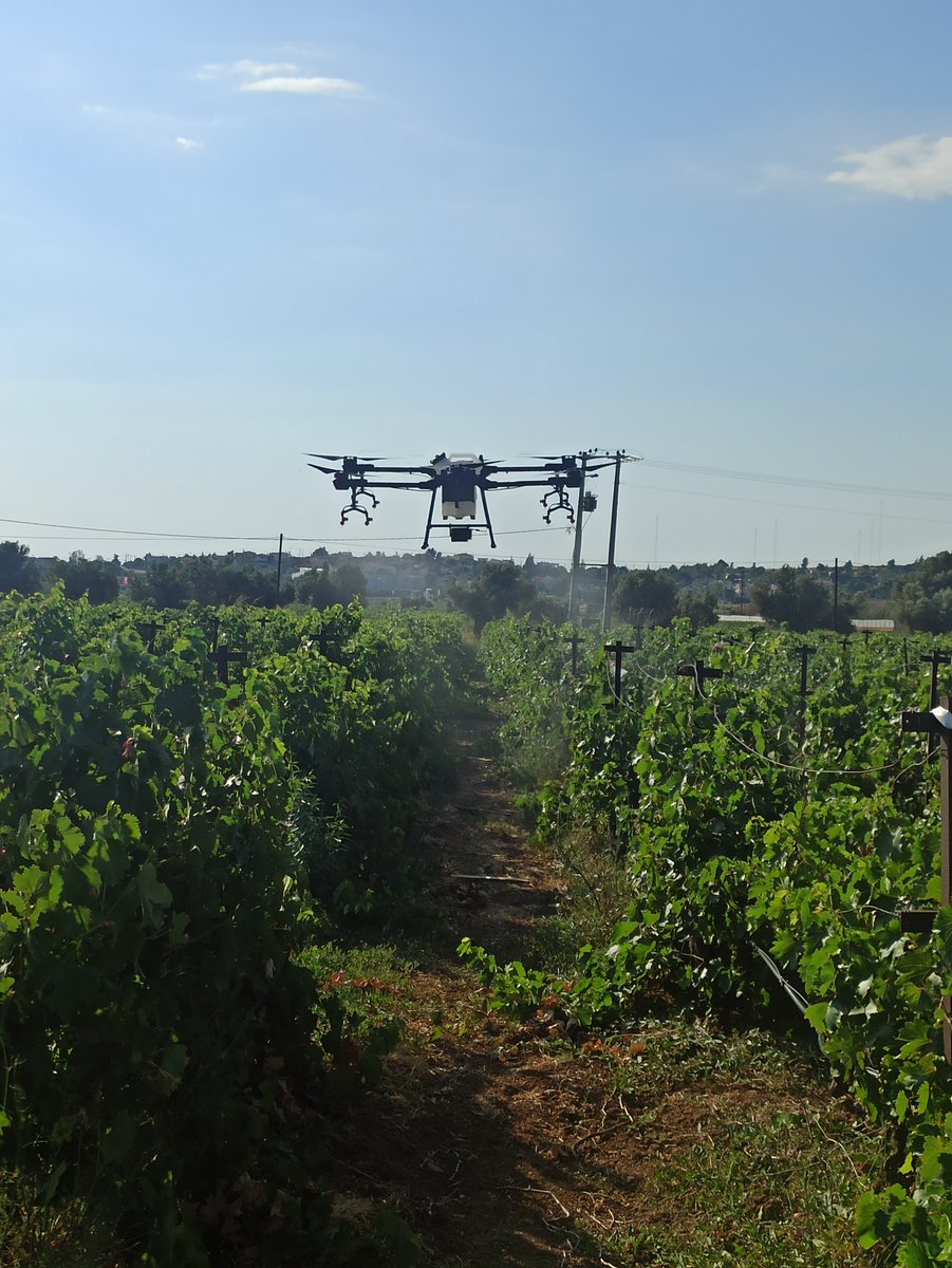 📢 Great news!   
🌿The Agricultural University of Athens
organises the next #DTSW on Thursday, 4 April 2024. 🕰️The workshop will take place in the multi-purpose hall at the AUA, Athens, Greece.
👉d4agecol.eu/aua-athens-gre…
Stay tuned!