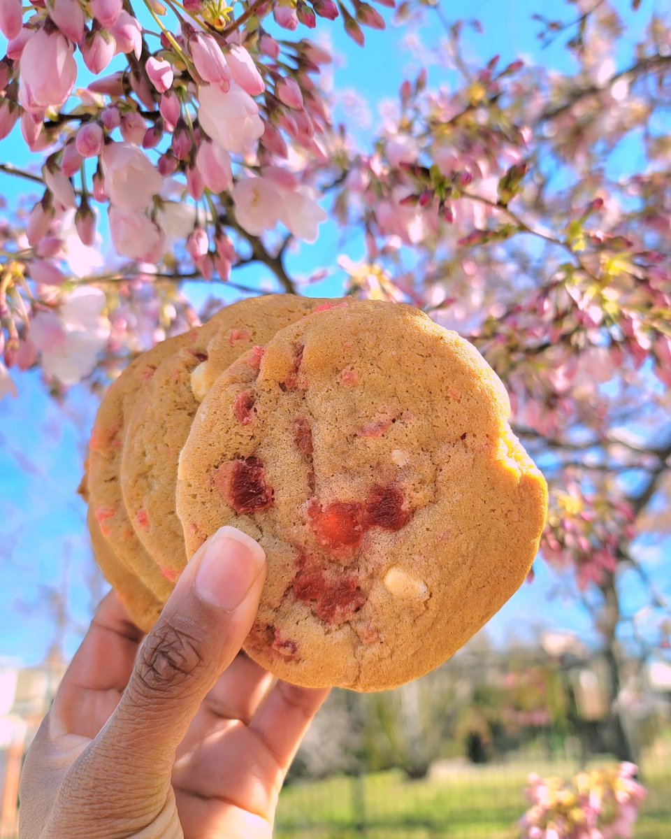 Spring has sprung and so have our #CherryBlossom Cookies! 🌸🍪

Indulge in the perfect balance of tart cherries, creamy white chocolate, and smooth almond goodness. It’s the ultimate treat to savor the season! 🍒✨

Stop by the nearest Captain Cookie &amp; the Milk Man today!