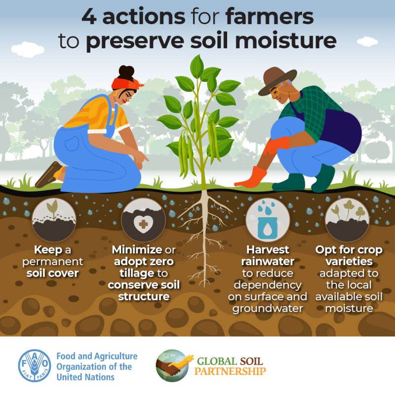 Check out FAO's 4 actions to preserve #soil moisture👇
