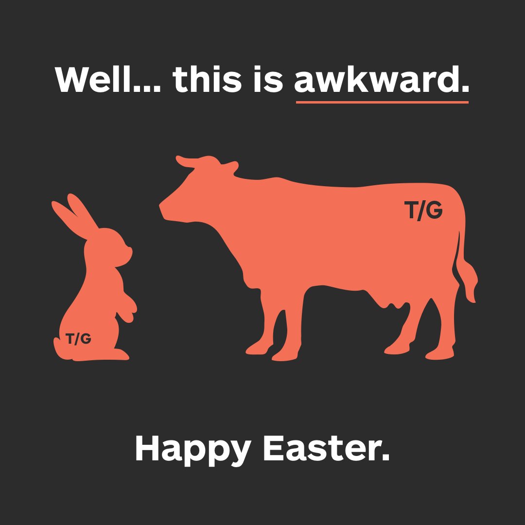 TayloeGray's tweet photo. We hope everyone has a lovely Easter weekend! A reminder that our offices will be closed Monday, April 1—no fooling here, we don't joke about time off 😌🐰 https://t.co/g4qCKDNfvA