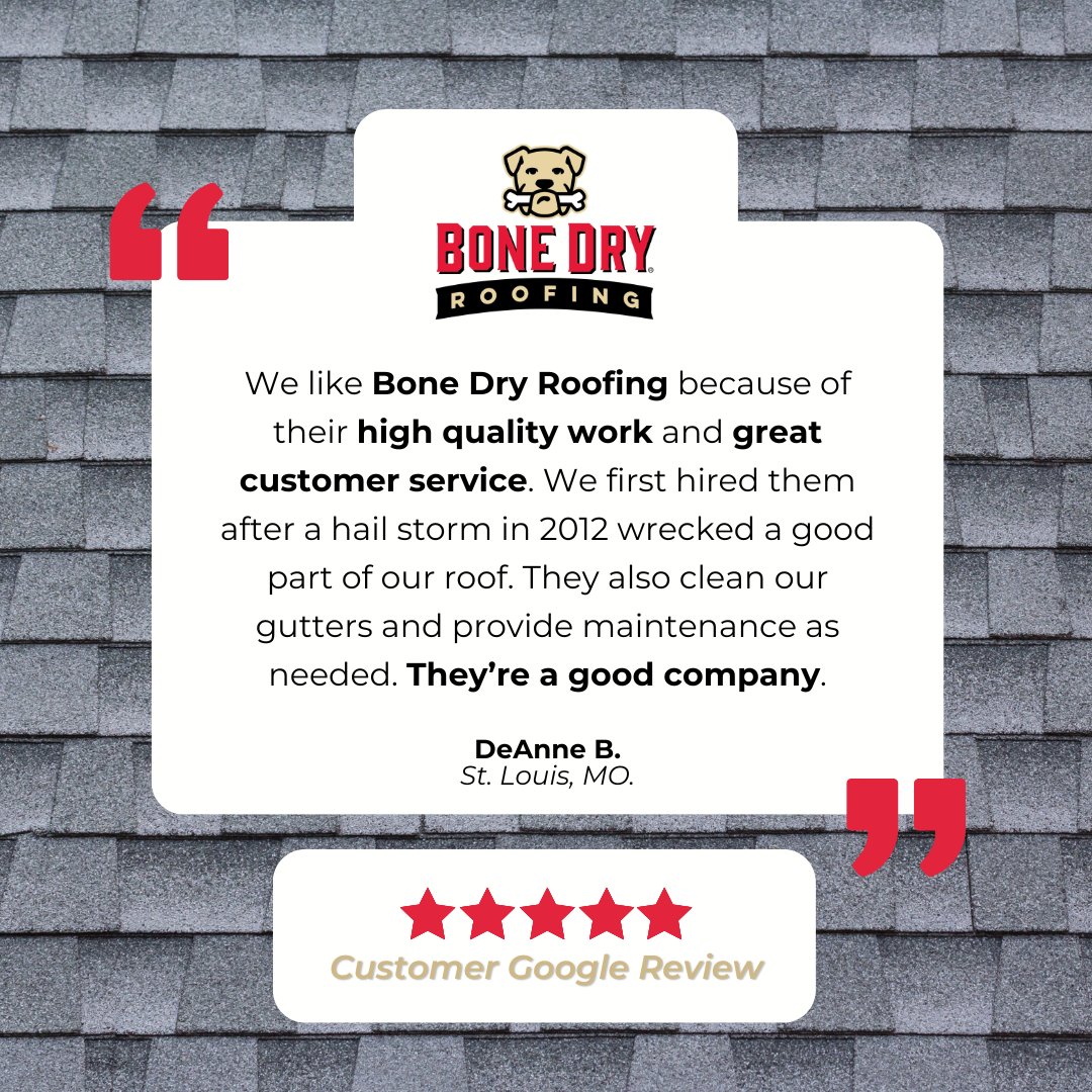 We do it all and can help increase the longevity of your current roof with our maintenance program!  

Thanks DeAnne, for this terrific review! We're glad we've been a help to you throughout the years. 🌟👏 
#BoneDry #BoneDryRoofing #GoogleReview #StLouisMO