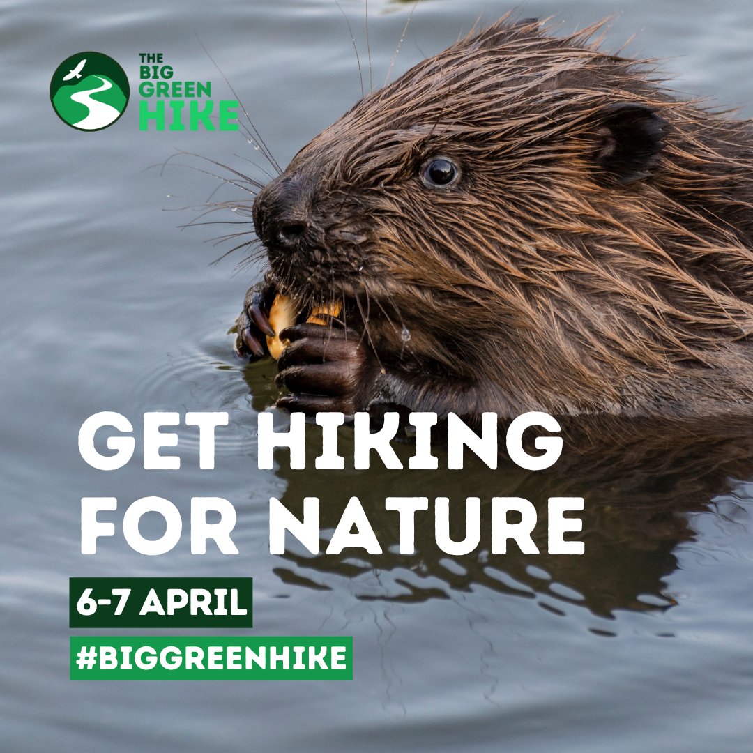 Spring is knocking at our door, so it's the perfect time to lace up your boots for the Big Green Hike and raise funds for a greener, wilder Britain🚶 Support #RewildingBritain and sign up for the #BigGreenHike today: i.mtr.cool/yqrdtifiuo