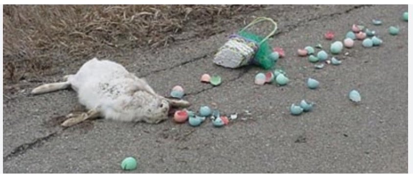 BoaEde_Victor's tweet photo. Komend weekend is het weer zover. We gaan naar de zomertijd🔆. De klok gaat een uurtje vooruit. #rijvoorzichtig in de donkere uren in bos-en buitengebied. De dieren moeten er even aan wennen.#wildaanrijding  @GemeenteEde https://t.co/xw9f2v3Z1x