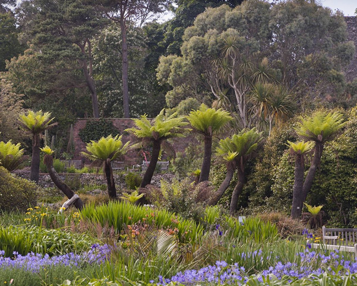 The SWC300 has a multitude of gorgeous parks and gardens for you to discover. 😍 📌Logan Botanic Garden, Port Logan, Dumfries & Galloway Find out more 👇 scotlandstartshere.com/all-nature-and… #LoveDandG #ScotlandStartsHere #SWC300