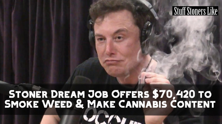 GET PAID TO SMOKE WEED!!! stuffstonerslike.com/stoner-dream-j…