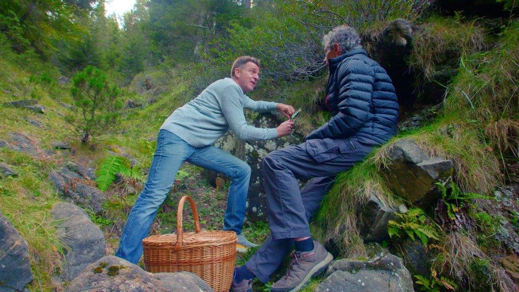 El Señor de los Bosques ESDLB tweet media