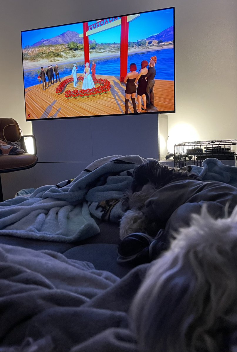 kampfkecks1992's tweet image. Ich bin am heulen und die Hunde pennen 🥹💜 
#LuckyVloben
So schön die Hochzeit von Ariane (gespielt von @pandorya) &amp;amp; Yosuke (gespielt von @senpaimelone) 🥰🩷🩵