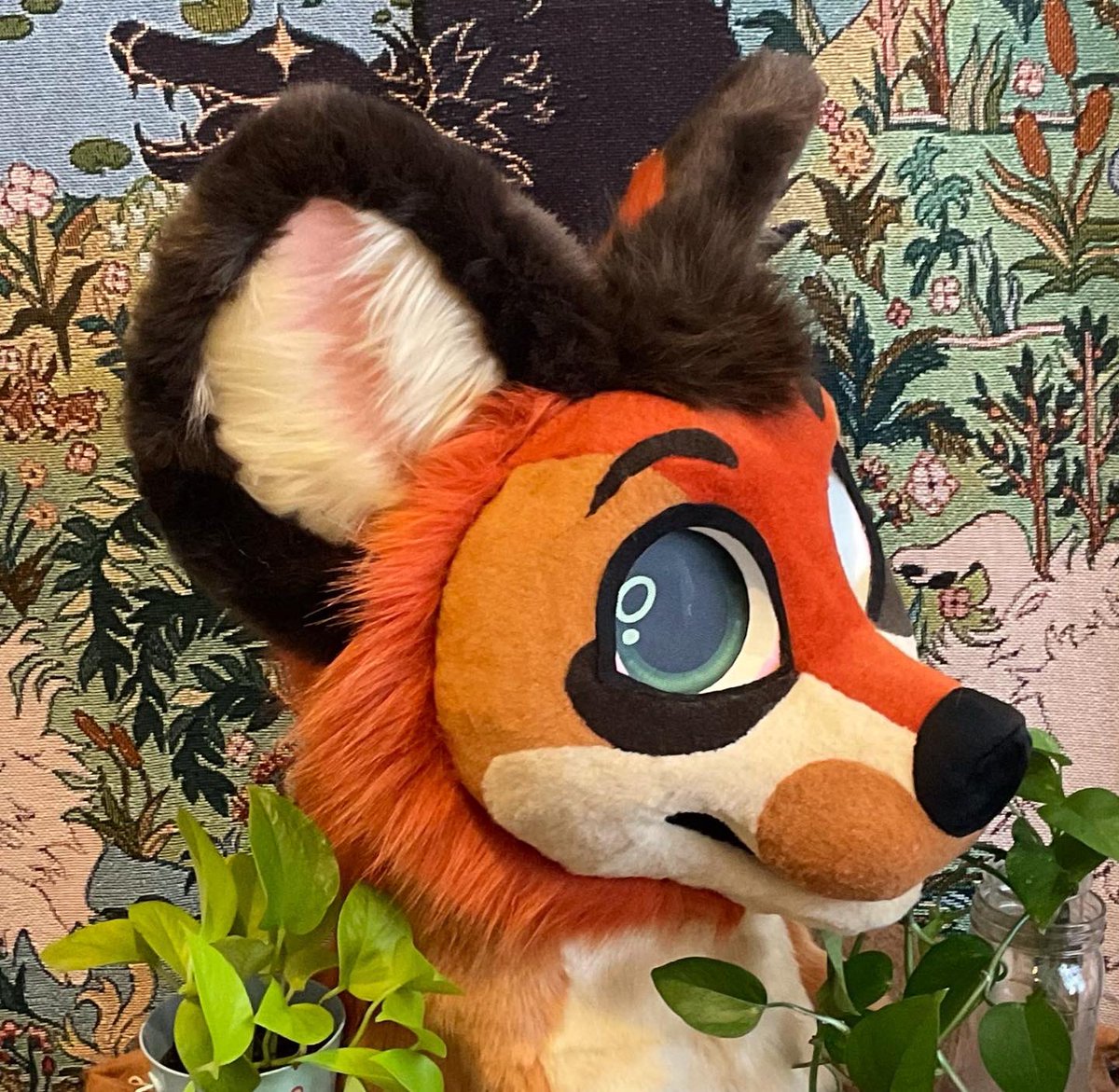 Conjure Creature 🔮 LVFC (@conjurecreature) on Twitter photo ✨Auction Open✨
Now accepting offers on the maned wolf, this suit is a collaborative project between me and <a href="/CoyoteArcade/">🌵Coyote Arcade🌵</a> ❤️
watch the auction or place a bid here -> t.me/conjurecreatur… ✨Auction Open✨
Now accepting offers on the maned wolf, this suit is a collaborative project between me and <a href="/CoyoteArcade/">🌵Coyote Arcade🌵</a> ❤️
watch the auction or place a bid here -> t.me/conjurecreatur…
