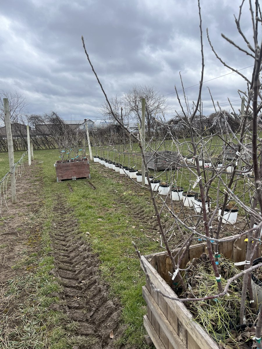 all systems go in the apple world !! excited for field season (&amp; the mcdonalds diet cokes that will fuel it <a href="/moniquejrivera/">Monique Rivera</a>)