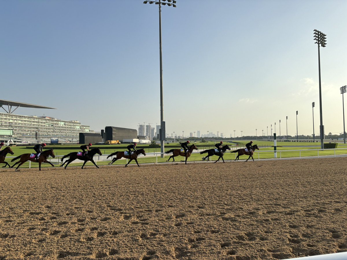 Good luck to Team Ireland and Aidan O’Brien and team at Ballydoyle at the Dubai World Cup tomorrow - all looking stunning today !