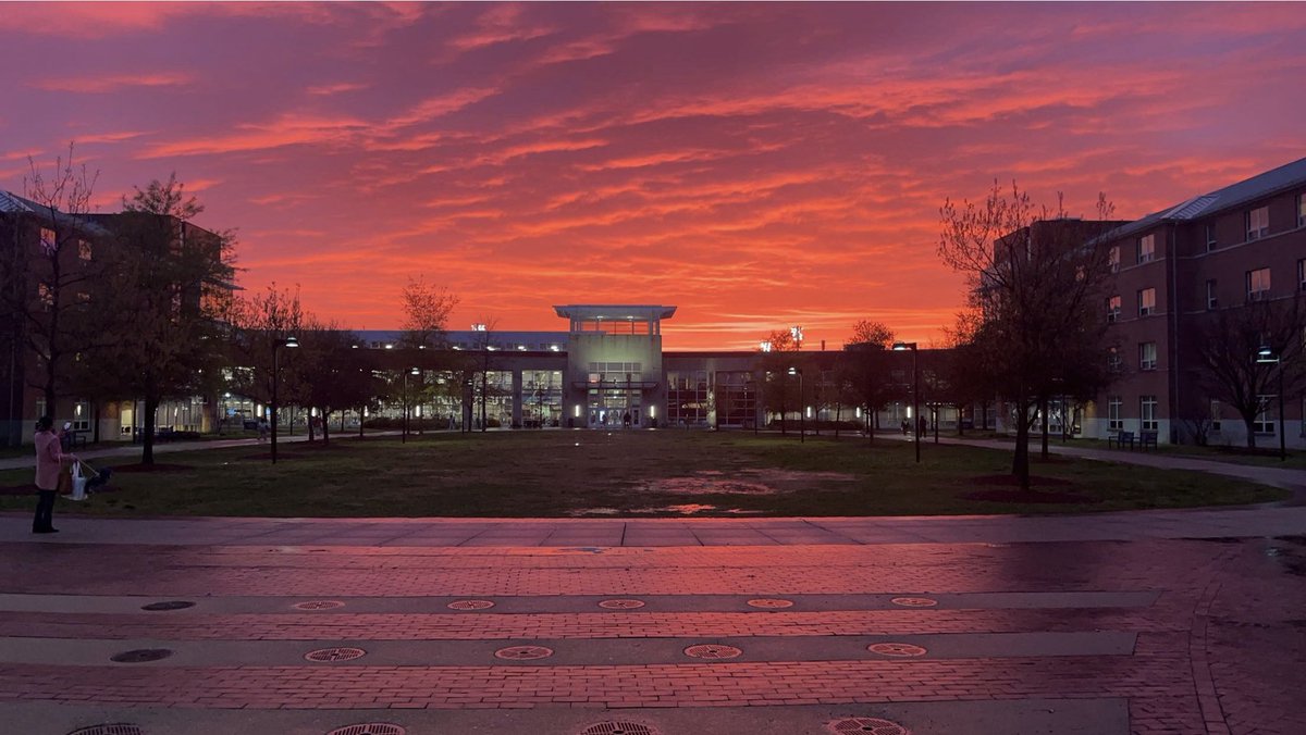 Yep! Just a normal beautiful sunset on campus here.