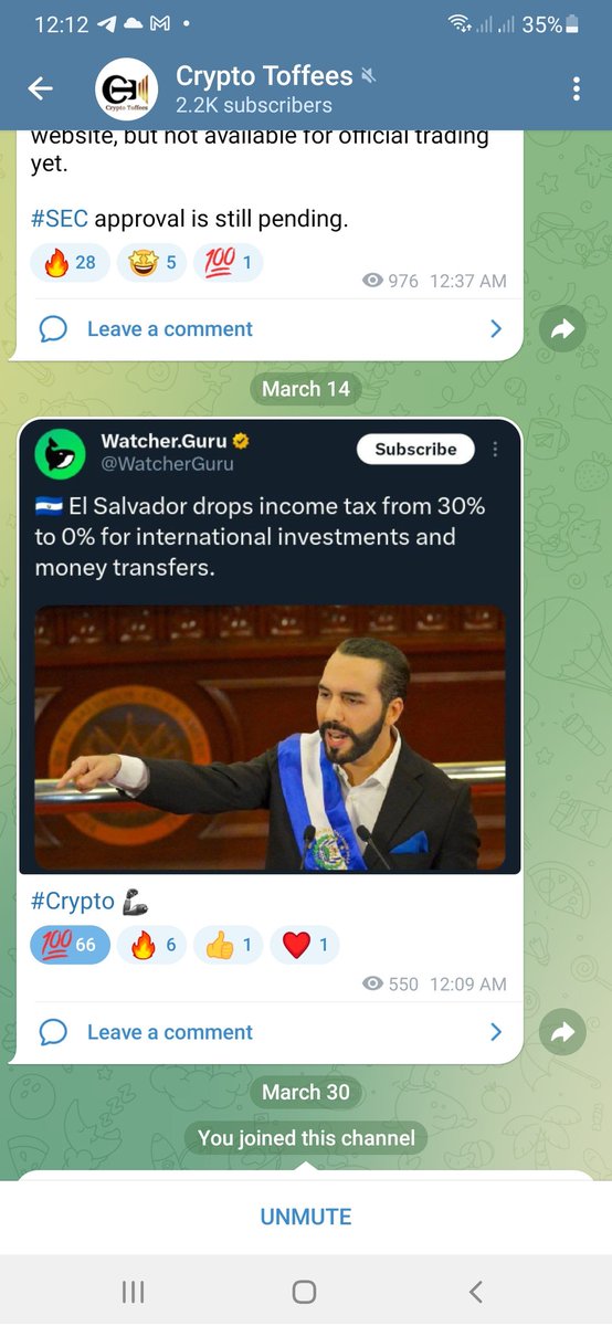 Timothy tweet media