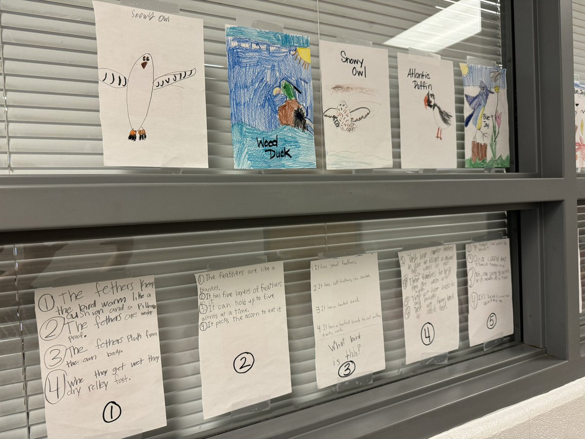Ms. George’s class took their learning celebration to the hallway. <a href="/StopherSharks/">Stopher Elementary</a> wrote riddles using facts from research about birds. Today they tried to solve them. I was amazed by the rich vocabulary and specific details in their writing and drawings. #StopherThrives