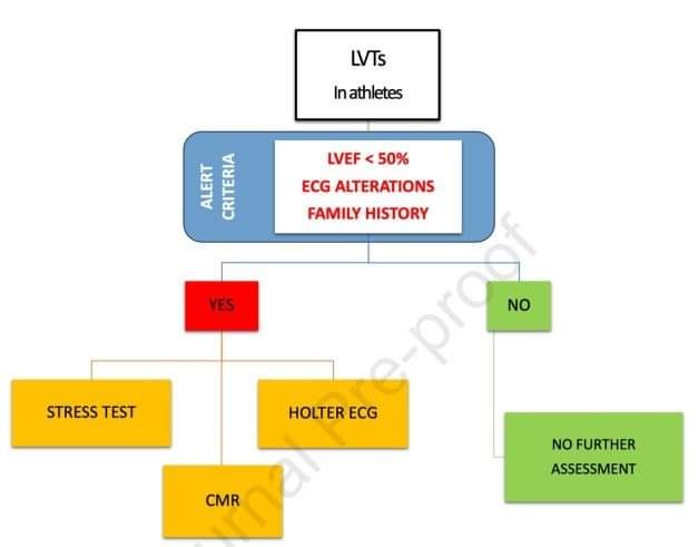 🔴  Left ventricular trabeculation: arrhythmogenic and clinical significance in elite athletes  #openaccess 
sciencedirect.com/science/articl…
#athletes #arrhytmogenic #echocardiography #SportsCardiology #cardiomyopathy
#Cardiology #medEd #medical #medtwitter #CardioEd #CardioTwitter