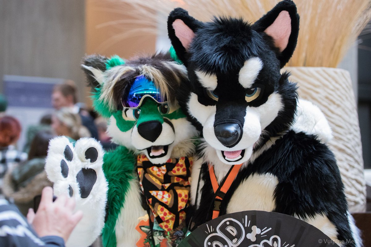 whoa, a blast from the past! Right for #FursuitFriday , @Vulpine_Media uploaded this photo from my first MFF (also first US con) back in 2018, to Furtrack