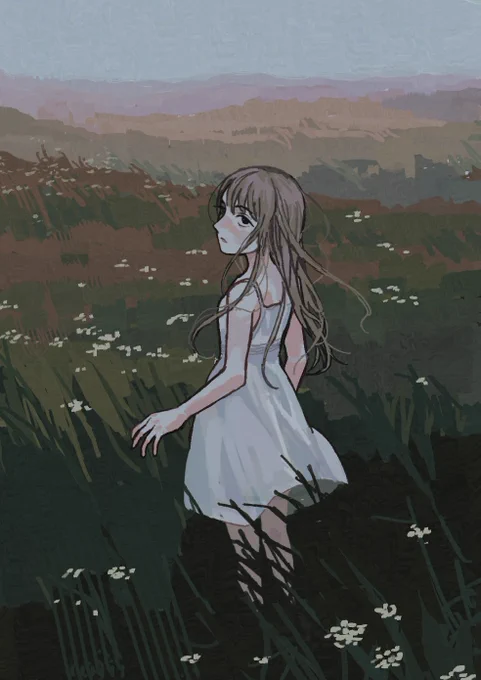 field 