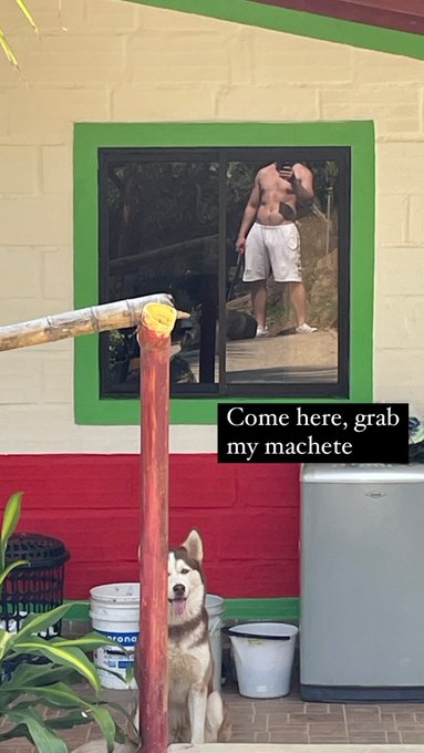 🔥 https://t.co/NN2HJDYXPq<a href="/tag/sex"class="tags"><span>#sex</span></a><a href="/tag/porn"class="tags"><span>#porn</span></a><a href="/tag/performer"class="tags"><span>#performer</span></a><a href="/tag/straight"class="tags"><span>#straight</span></a><a href="/tag/webcam"class="tags"><span>#webcam</span></a><a href="/tag/boys"class="tags"><span>#boys</span></a>