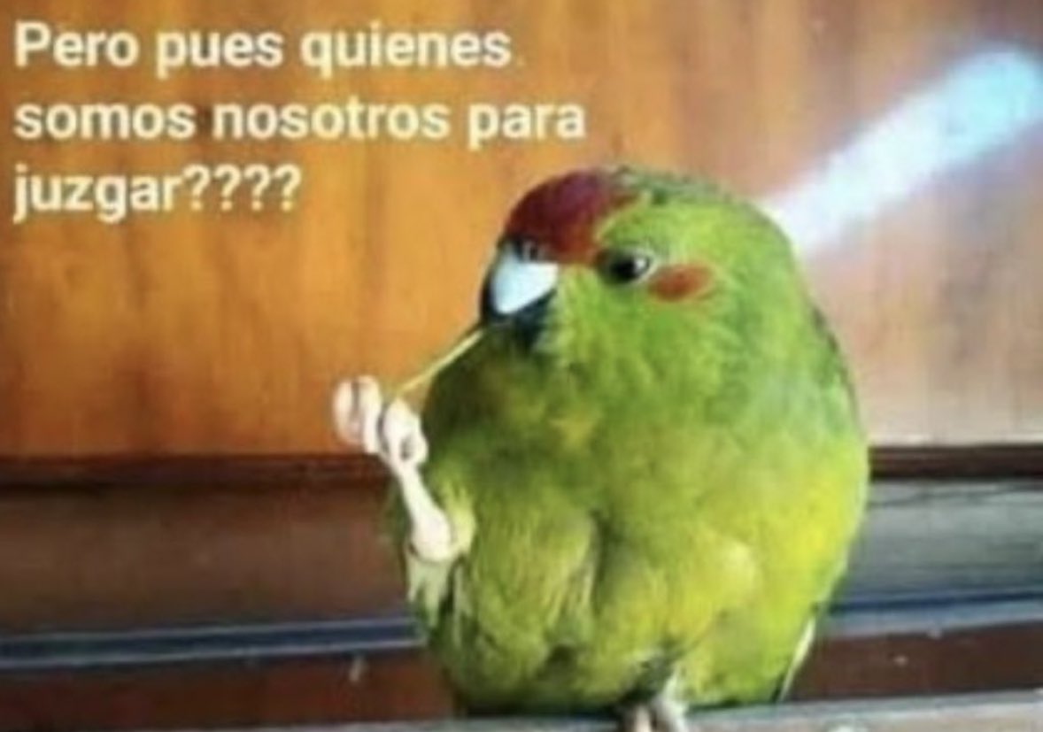 edithTiDi's tweet image. Ojalá en Mazatlán hubiese perritos y no gringos, para que mandaran a CHASM a los grupos de banda, igualito que los cohetes 👀🎇.