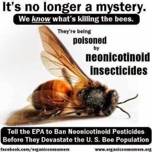 @BeeAsMarine #SaveTheBees 🐝🐝

🆘Please Sign The Petition 
To Ban Pesticides 🆘
👉change.org/SaveTheBee

No Bees = No Us 🌸🐝🌼🐝🌺

#IfTheyDieWeDie 
#BanPesticides 🐝🐝