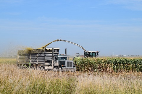 The 2024 report was published in the March edition of #Ag Decision Maker and includes 130 responses and 2,805 custom rates provided by Iowa #farmers, custom #operators, and #farm managers.

Learn more at extension.iastate.edu/news/farm-cust…