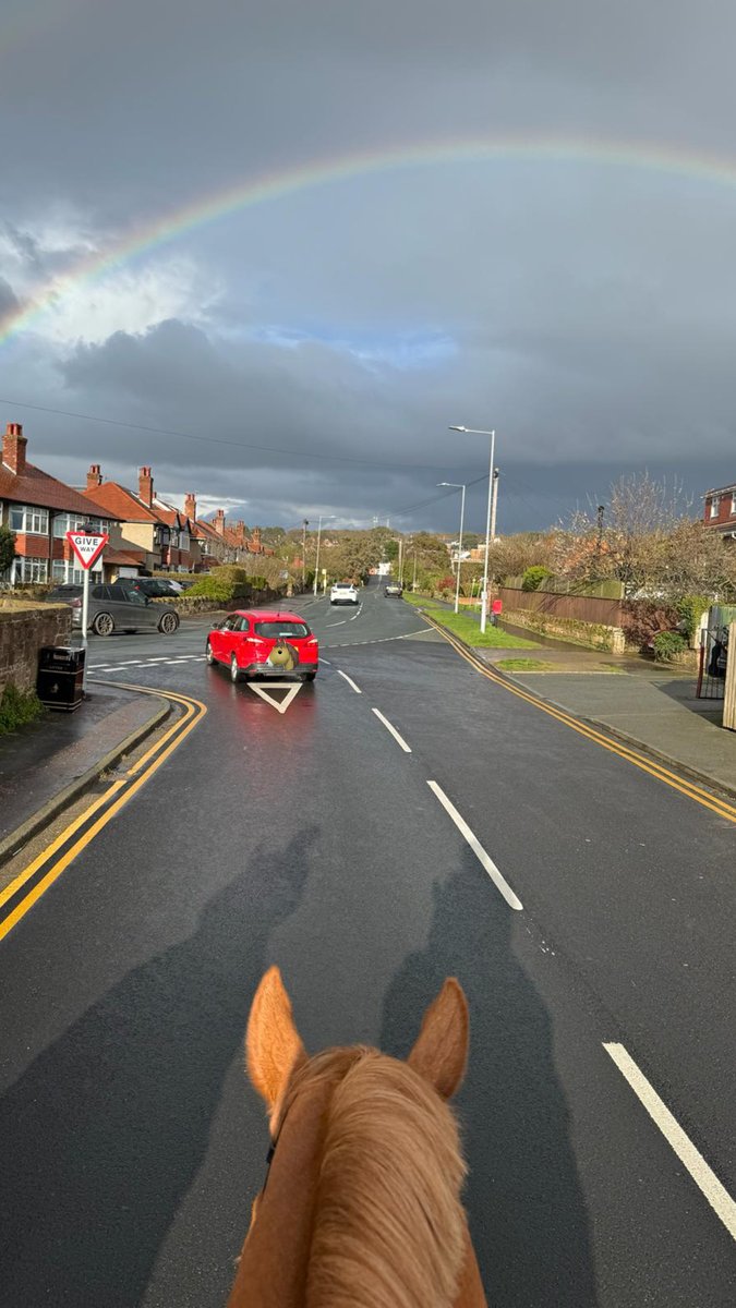 Owen and Carter are on patrol in West Kirby this afternoon after some reports of Anti Social Behaviour. 
Fortunes have changed as they saw a double rainbow!!! 
#StandTall #PHCarter #PHOwen #MountedPatrols #NoCarrotsAtTheEndOfTheRainbow