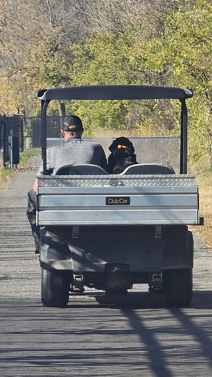 Matt Yops tweet media