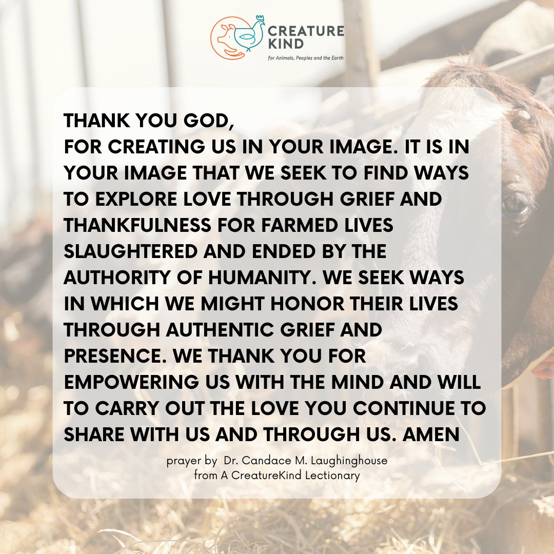 Reflecting on the essence of Good Friday: a journey of grief, gratitude, and love. As we honor the sacrifice of Christ, let's also remember the lives lost, both human and non-human. 
⁠