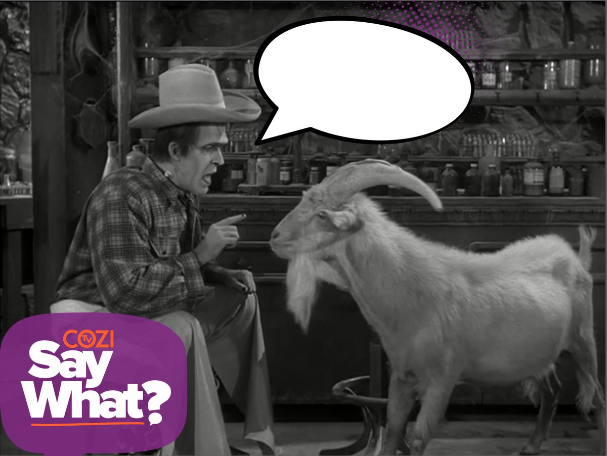 Is Herman a goat whisperer? You tell us! This week's #COZISayWHAT winner will receive a @gomohu Leaf 50 Amplified Indoor HDTV Antenna! Enter: Reply and fill the bubble! NO PURCH NEC. Open to 50 US or DC, 18+. Ends 4/9/24. Void where prohib. Odds/Rules: cozitv.com/cozi-tv-say-wh…