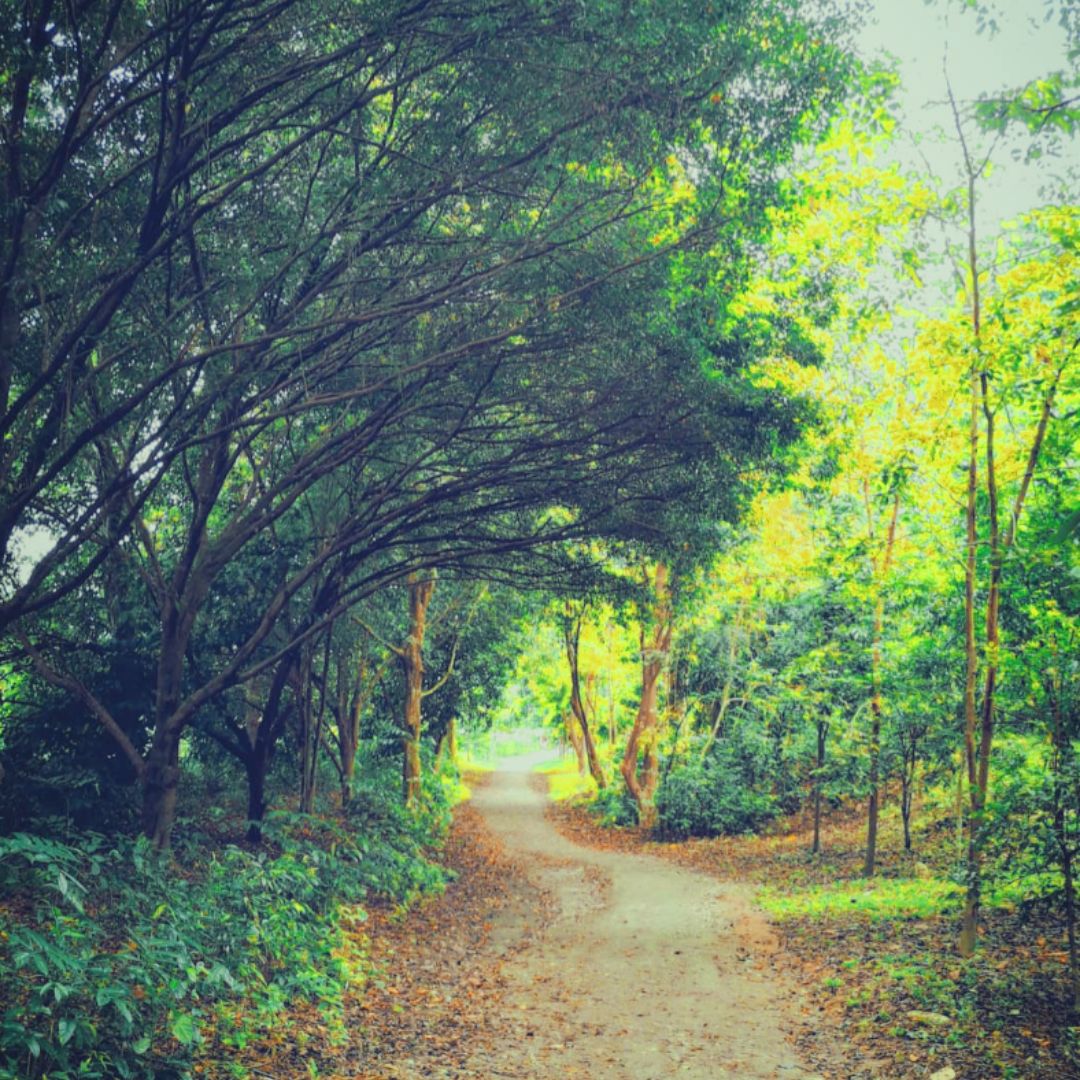 Prince_Enoki tweet media