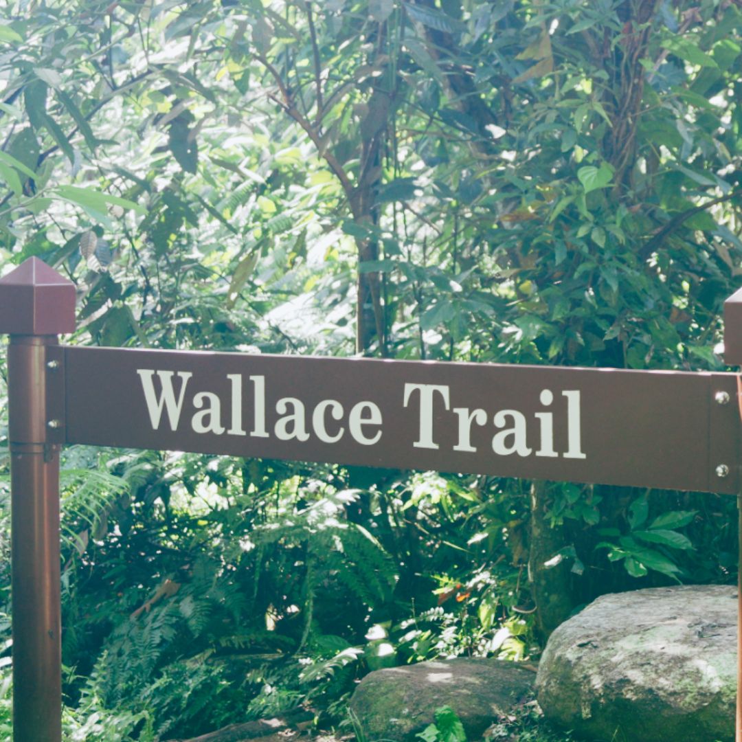 Prince_Enoki tweet media