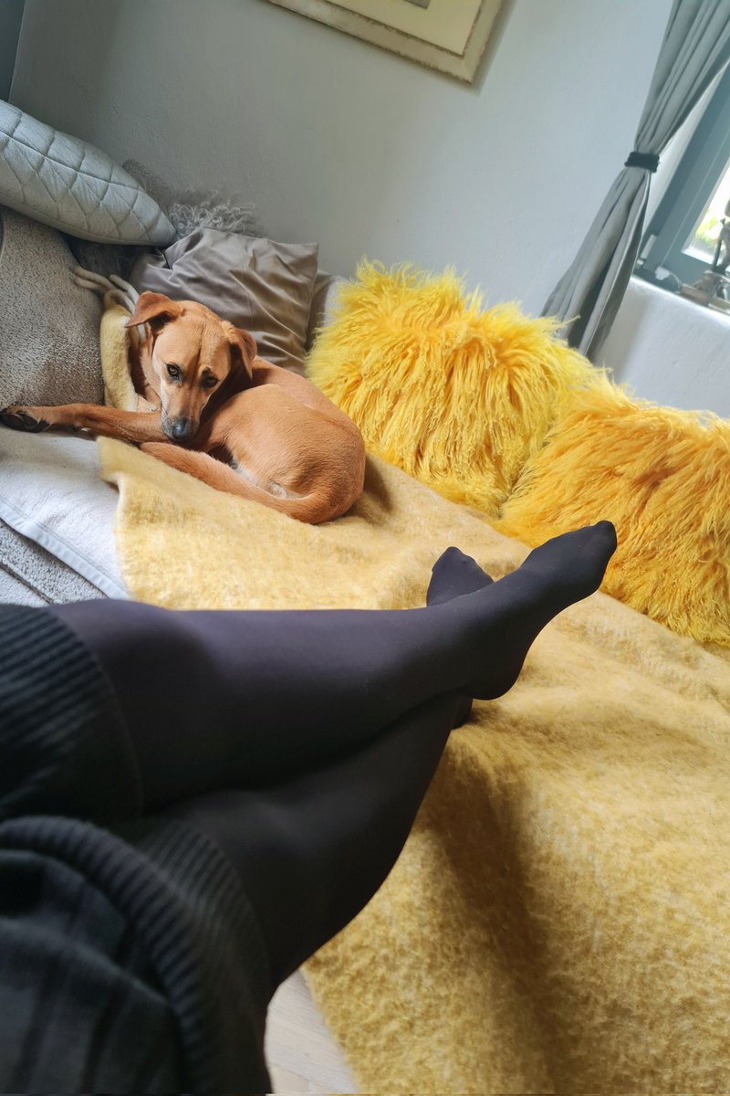 Charlie_denkt's tweet image. #UndIhrSo 😘