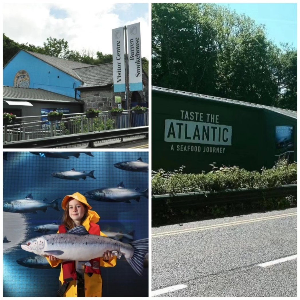 LisdoonvarnaTourism tweet media