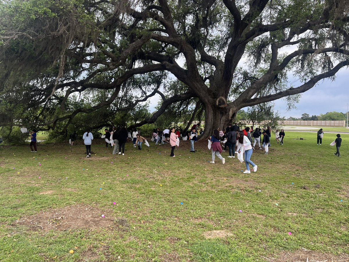 Krista Hulsey tweet media