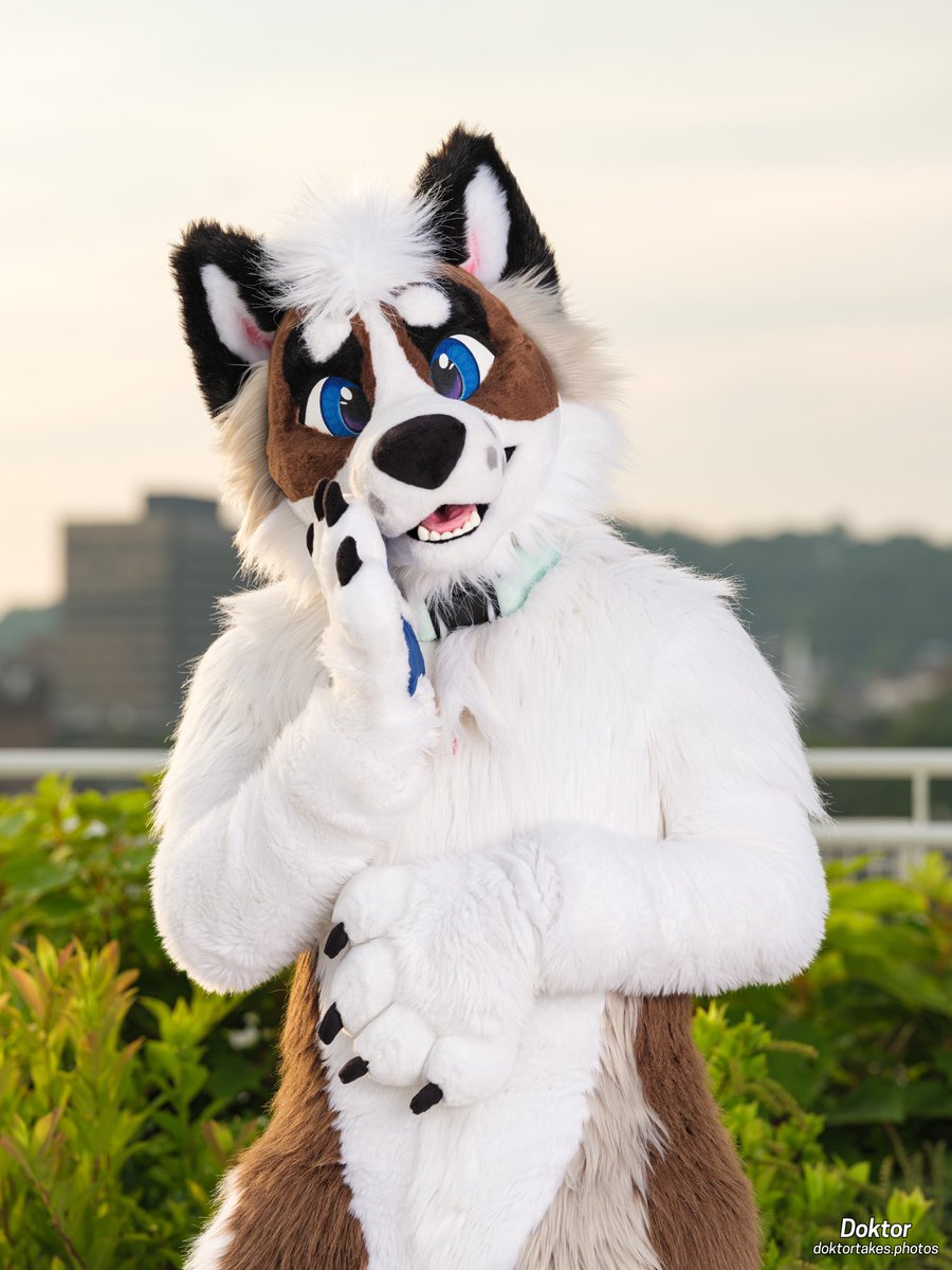 Pssst…pssst, I will be at #LVFC2024 this weekend, come say hi if you are also there! 👀 #FursuitFriday 📸: @DoktorTheHusky 👔: @Zuri_Studios