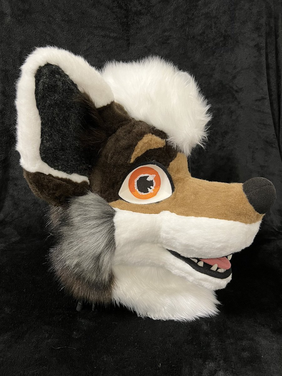Hello everyone as you can see from the photos it is not me who’s a star of this #FursuitFriday but a cutie I have made. 
I’m ready to announce that he will be up for $ale💸  in the upcoming week. For more info read comments.