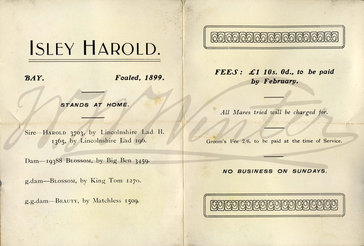 Recently found in our archive  - brochure for stud services of the stallion Isley Harold, owned by JG Shields.  
He was estate manager at Donington Hall when it was the POW camp in 1915.
#Winters1852 #WWWinterHeritageTrust #WWWinterLtd #HorseBreeding #Stallion #StudFarm #Horses